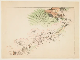 Mountain Cherry Blossoms