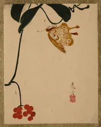 Red Berry Plant and Butterfly
