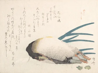 Spring Rain Collection Harusame shu, vol. 1: Duck and Scallions