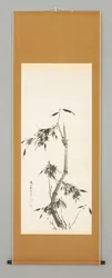 Bamboo