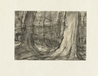 View Between Trees
