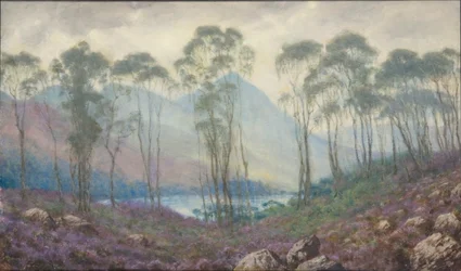 A Scottish Landscape