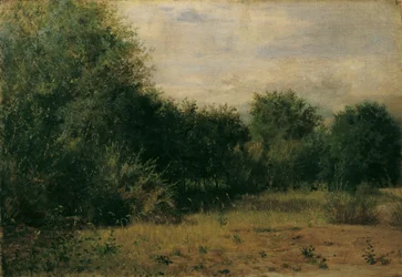 Landscape Study