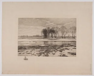 Winter Landscape