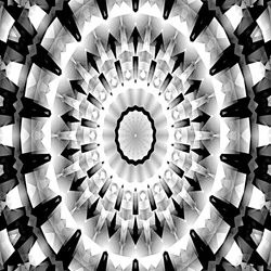 „Black and White Symphony“
