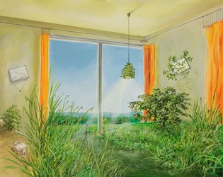 Room for Nature