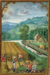 Add 18855 September: harvesting, ploughing and sowing, from a Book of Hours, c. 1540