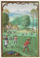 July: Harvest, Sowing, from a Book of Hours, c.1540
