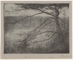 Pond near Oisterwijk
