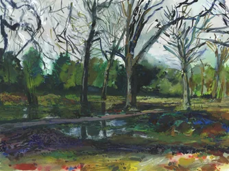 Flooding, Richmond Park