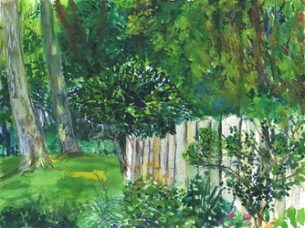 Garden and Wetland