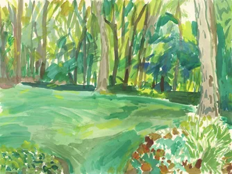 Garden and Wetland