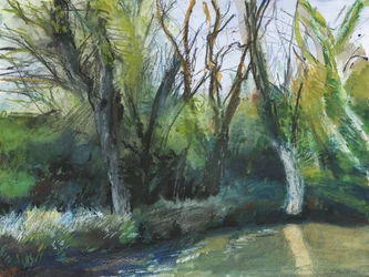 Latchmere Brook, Ham Common