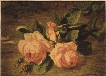 Pink Roses