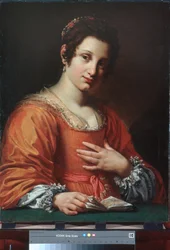 Portrait of a Young Lady
