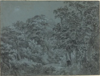 In the Hague Woods