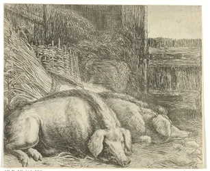 Two Pigs (Various Animals series, Beesjes van de Vlieger series)