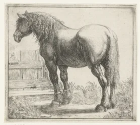 Workhorse by a Fence