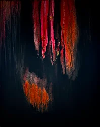 Embers Fire