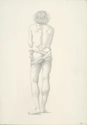 Back View of Standing Male Nude
