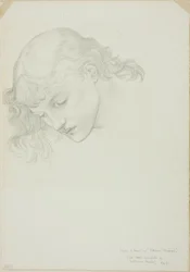 Head, Study for Mirror of Venus