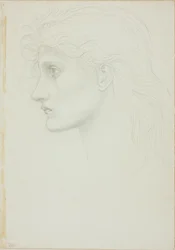 Head of Girl Facing Left