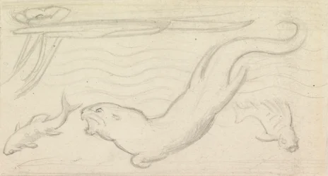 Stained Glass Study, An Otter and Two Fish