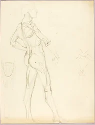 Anatomical Study