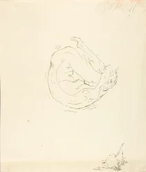 Dream of a Broncho #9