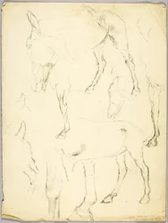 Portrait Study, Horse Study