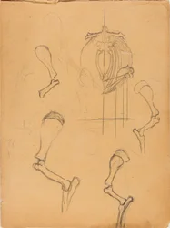 Sketch Book