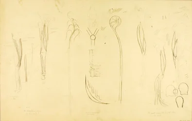 "Sound Construction" study
