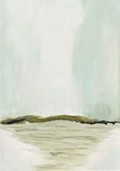 Soft Horizon Landscape
