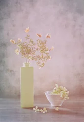 Delicate Pastel Still Life