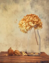 Dried Hydrangea Still Life