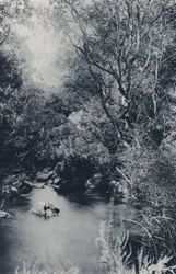 A Fairy Scene, near Witpoortje (b/w photo)