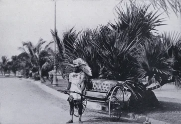 Bay Esplanade, Durban, showing Ricksha