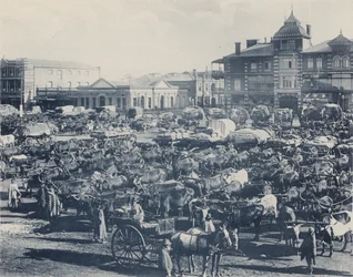 Early Morning Market