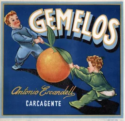 Advertising for oranges, image of two twin babies fighting for an orange. Advertising poster, Valencia