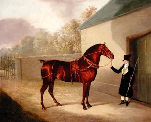 Exterior view, begun in 1720