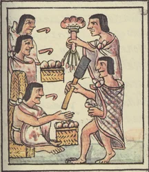 An Aztec Feast, from the Florentine Codex by Bernardino de Sahagun, c.1540-85