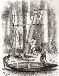 Native Indians building a canoe on the banks of the Oyapock or Oiapoque River, South America
