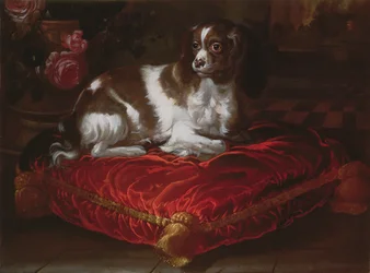Spaniel on a Cushion