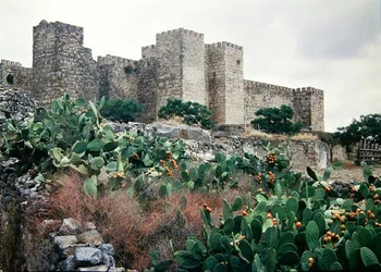View of the Castle