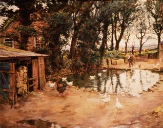 The Duck Pond