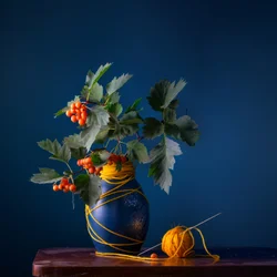 Hawthorn Berries and Yarn