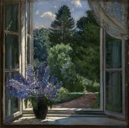 View from a Window