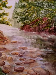 In the Forest - Stream