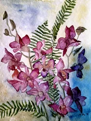 Orchid