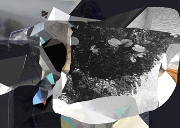 Fragmented Water Lilies